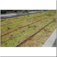 2021-07-19 -T9- Choisy,Avenue de la Republique 01.JPG